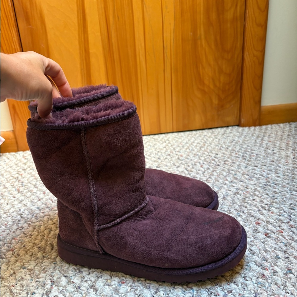Purple/Eggplant Ugg Boots